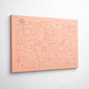 Durazno Acetil™ 196x150cm