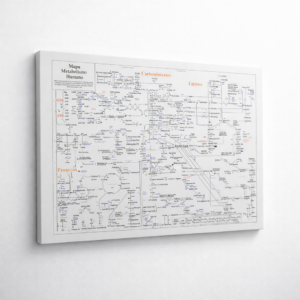 Blanco Metabólico™ 196X150cm