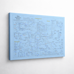 Azul ATP™ 196X150cm