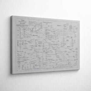Gris Carbamoil™ 196x150cm