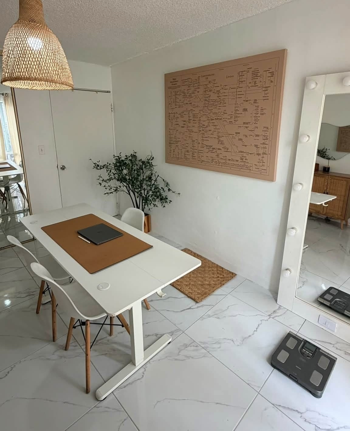 Mapa Nude NAD+ colgado en consultorio
